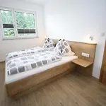 In Near Dachstein Apartment