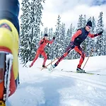 In Near Dachstein *