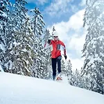 In Near Dachstein *
