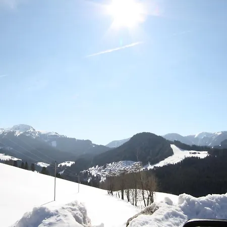 In Near Dachstein Apartament *